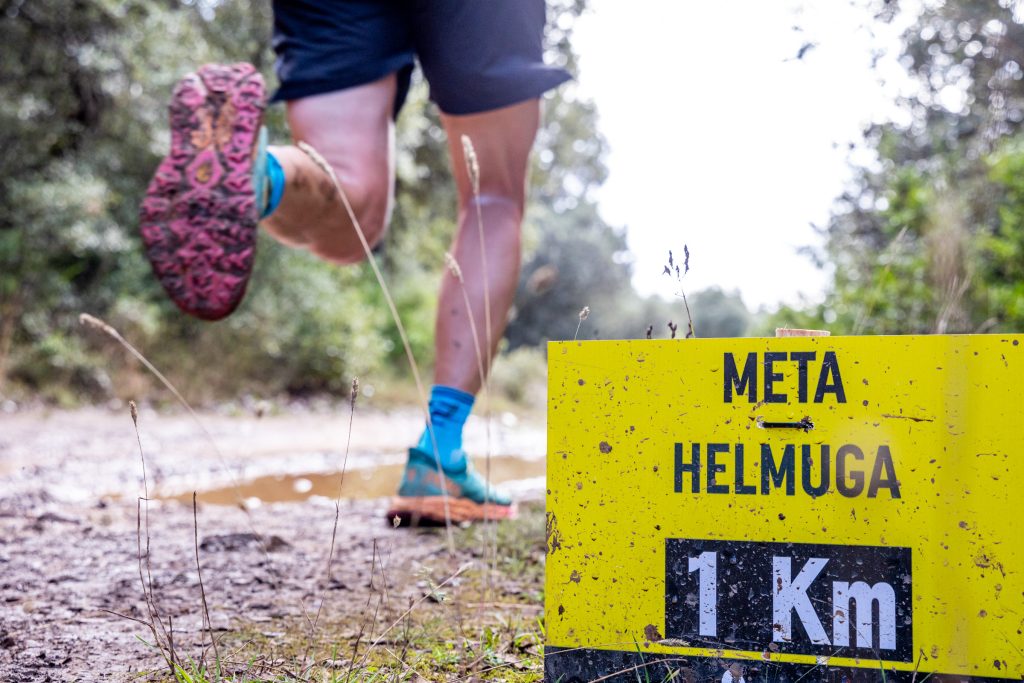 Picture by Javier Martínez de la Puente/Zubiko Photography - 02/11/2024 - Trail - Betagarri Trail Ancín - Ancín,Navarra (ESPAÑA)